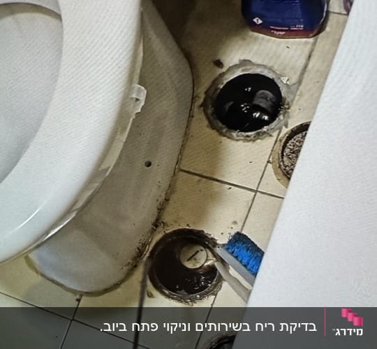 אסלה, מברג, חור ברצפה, מברשת כחולה